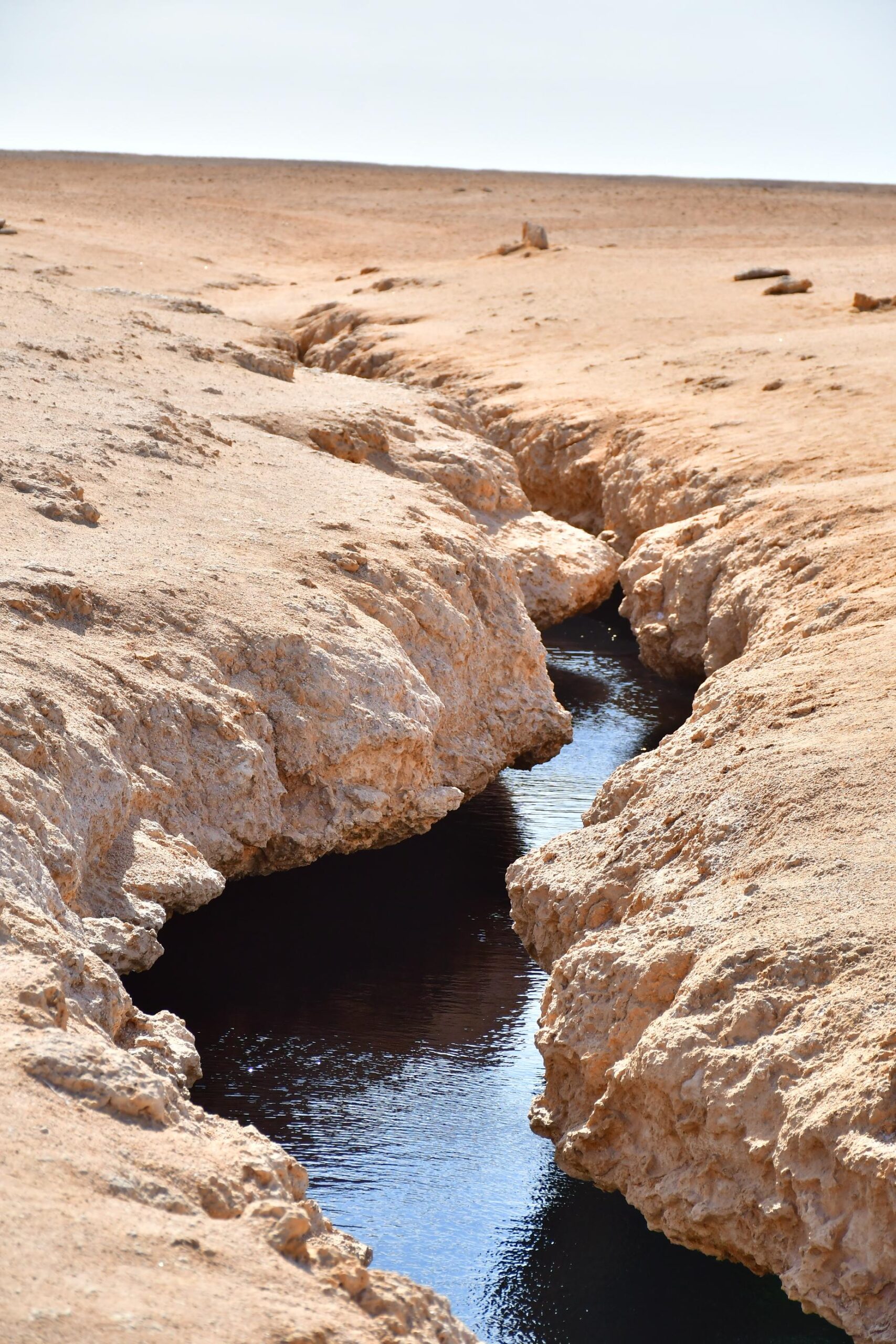 Ras Mohammed - immagine 7