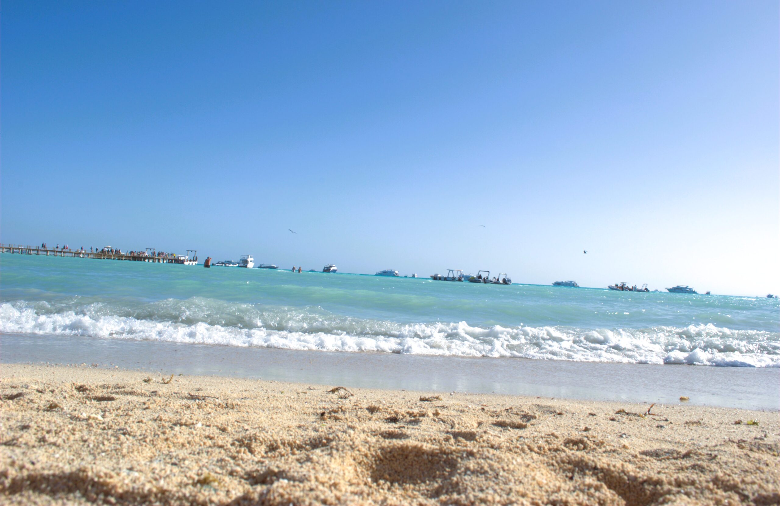 Orange Bay - immagine 10