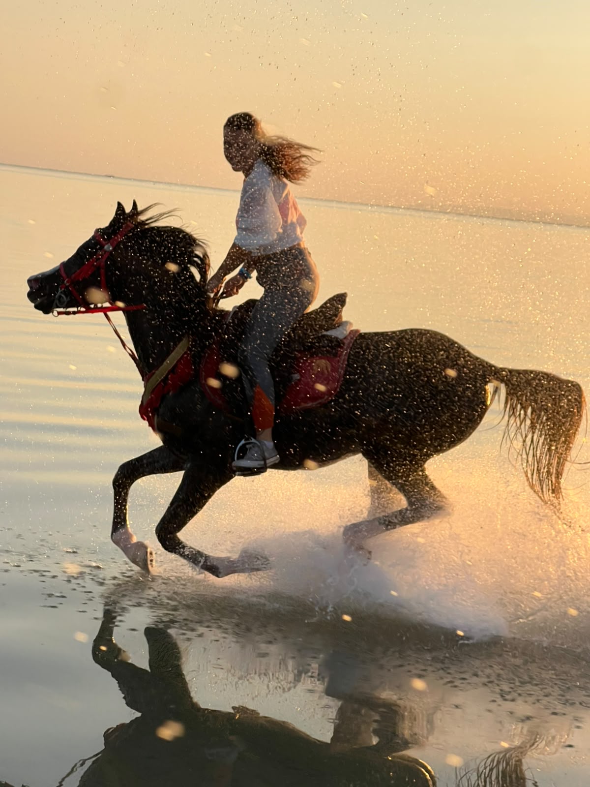 Escursione a Cavallo - immagine 8