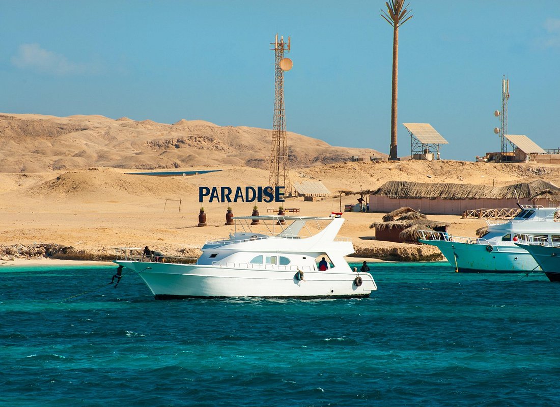 Paradise Island - immagine 2