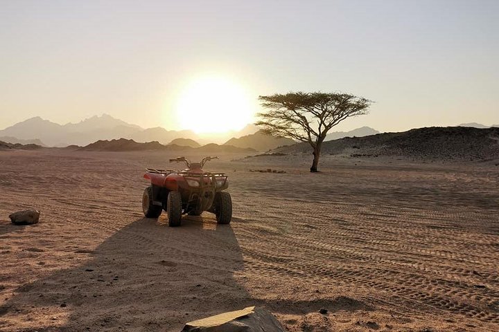 Motorata nel Deserto Hurghada - immagine 2