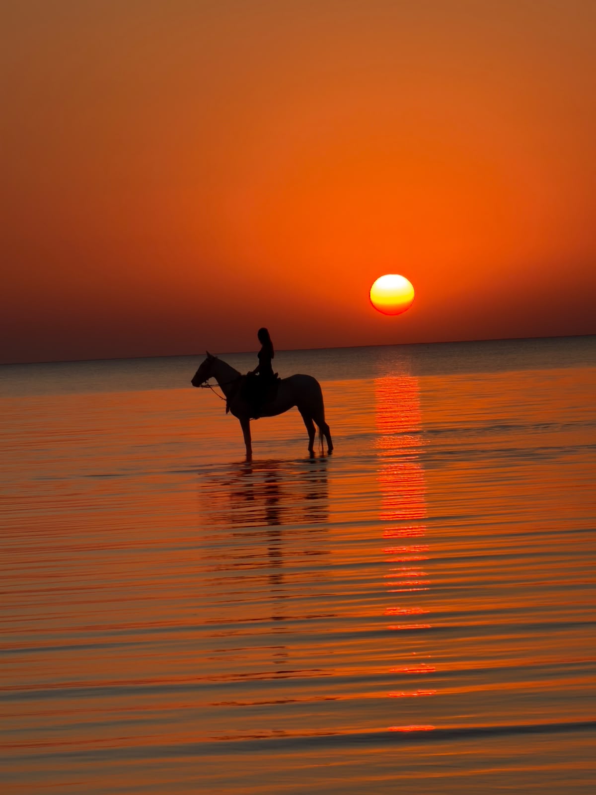 Escursione a Cavallo - immagine 9