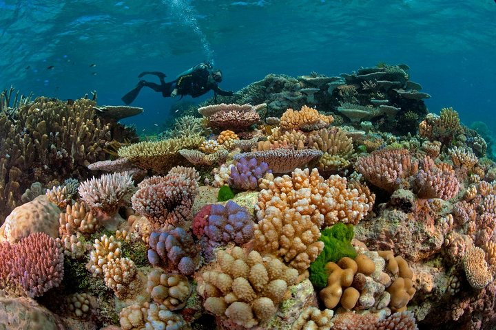 Diving Trip - immagine 3