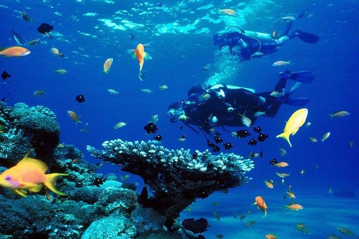 Diving Trip - immagine 5