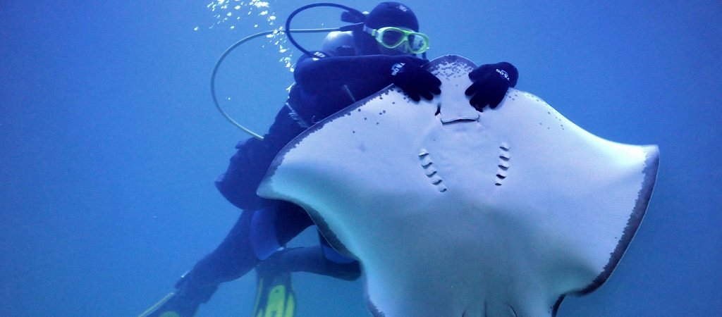 Grand Aquarium - immagine 6
