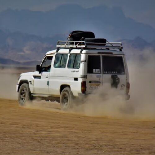 Super Safari