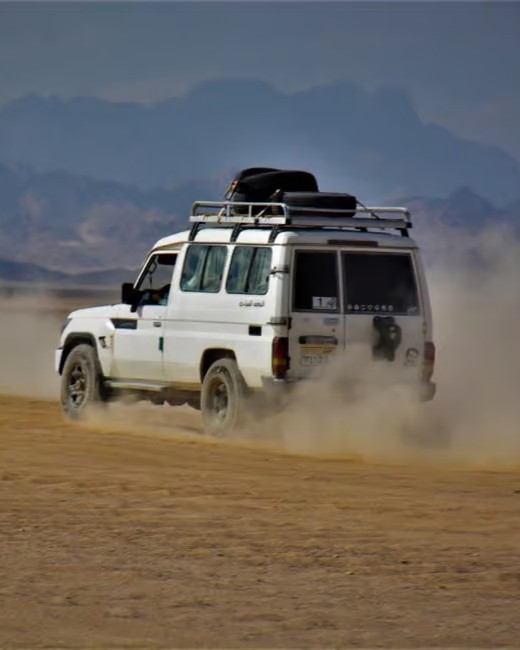 Super Safari