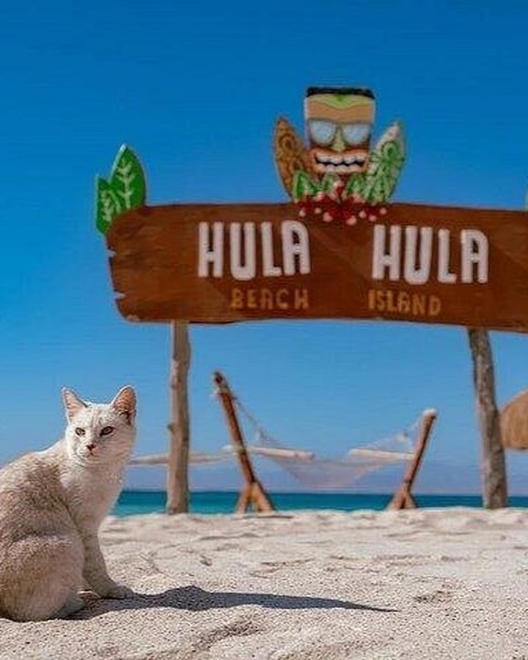 Hula Hula