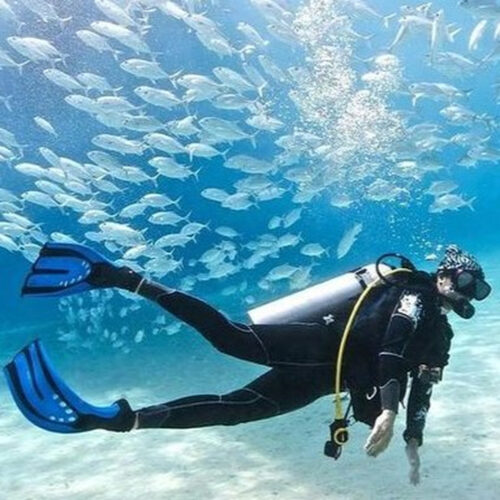 Diving Trip
