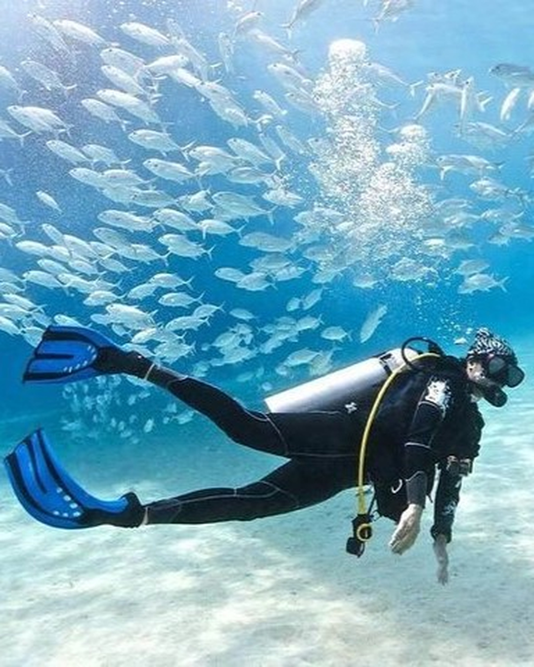 Diving Trip