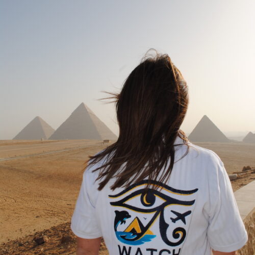 Il Cairo via terra da Sharm