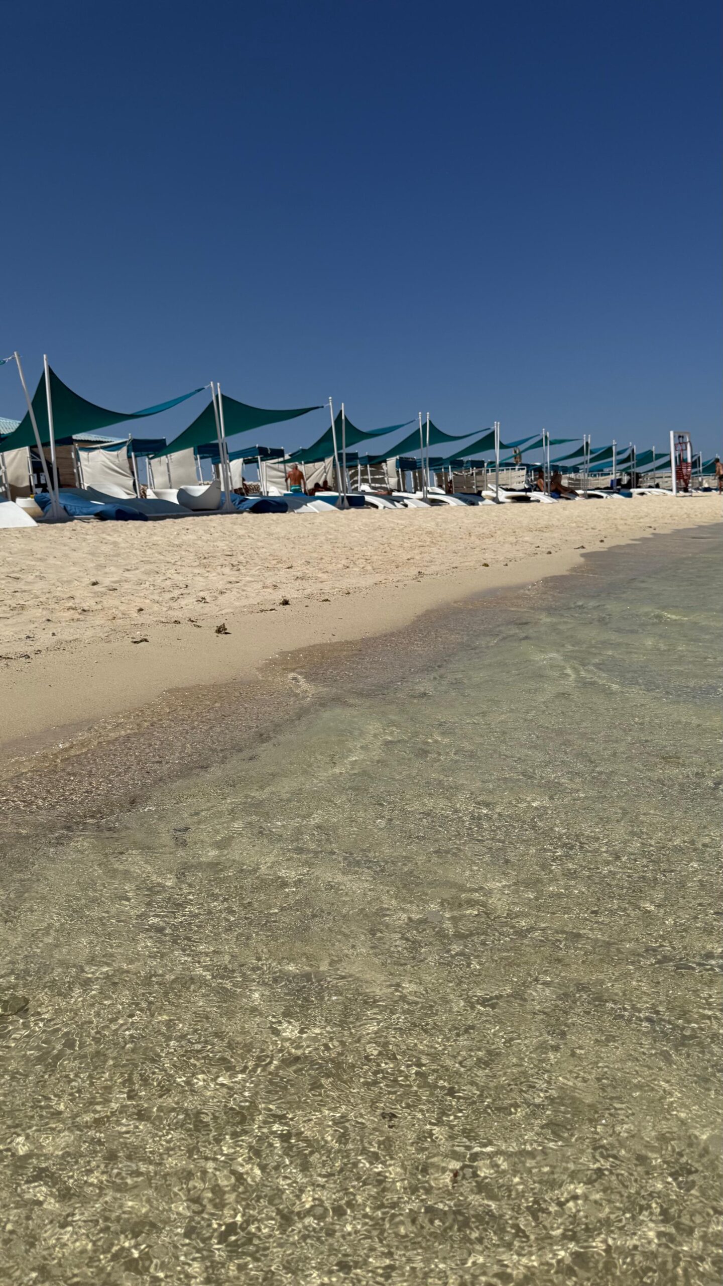 Bianca Island Utopia - immagine 6
