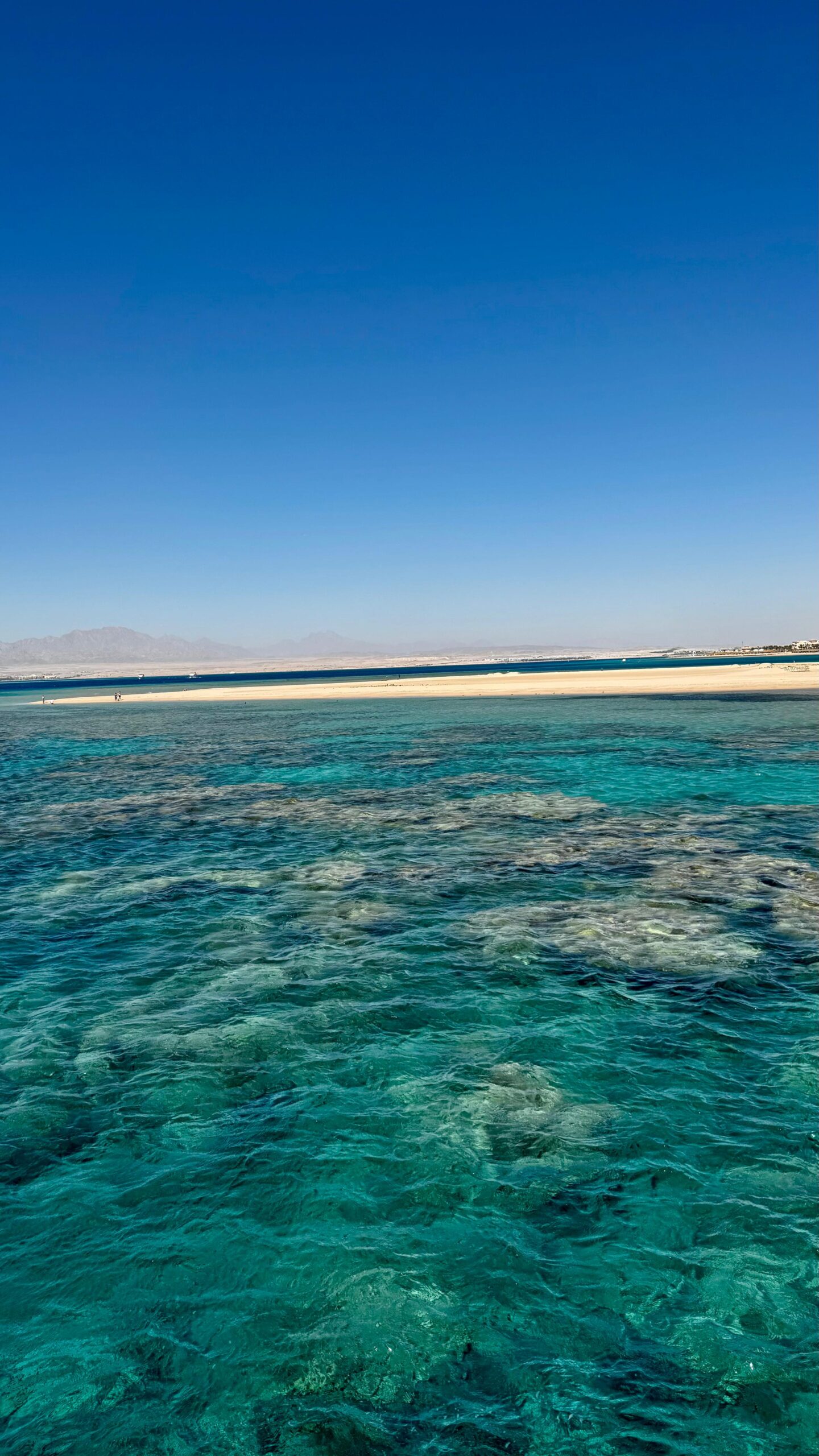 Bianca Island Utopia - immagine 5